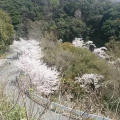 五月山公園