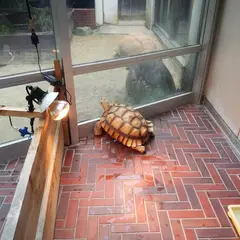 愛媛県立とべ動物園レストラン動物園東雲