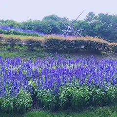 名城公園