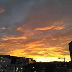 稲城ふれあいの森