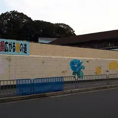 京都市立蜂ヶ岡中学校