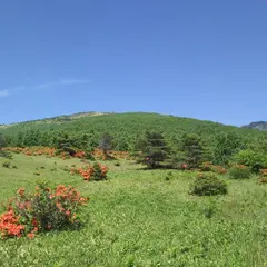 菅平高原