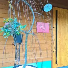 虎渓山PASTA(コケイザンパスタ)
