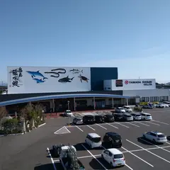 うなぎの駅