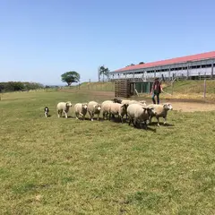 マザー牧場オートキャンプ場