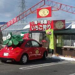ＳＴＲＡＷＢＥＲＲＹ・ＦＡＲＭ陽一郎園