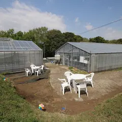 吉原いちご園