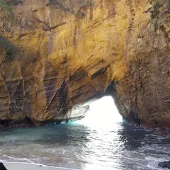 舞磯浜
