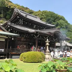 三室戸寺あじさい園