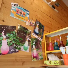 ポッピン大阪
