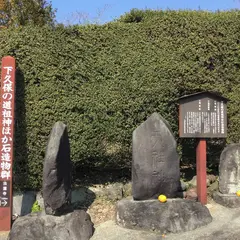曽我別所梅林
