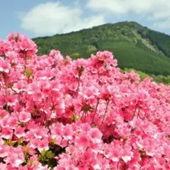 椎八重公園