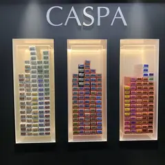 CASPA ebisu color head spa