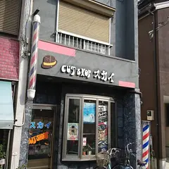 スカイ