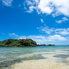 西表島