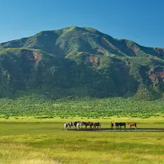 阿蘇山