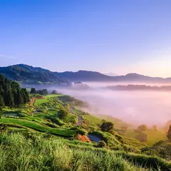 星峠の棚田
