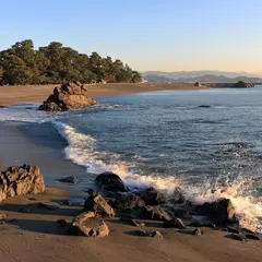 桂浜