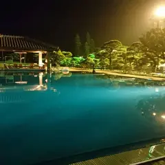 指宿 白水館