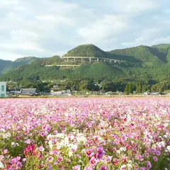 グリーンパークえびの