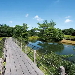 高鍋湿原