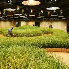 パソナ農援隊