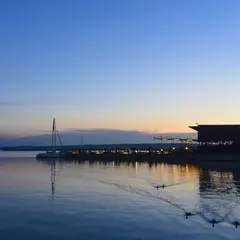 ノイジードル湖（Lake Neusiedl）