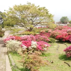 久留米森林つつじ公園