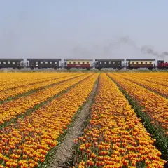 ホールン