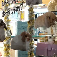 九州うさぎCLUB