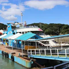 イルカ島