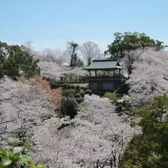 菊池公園