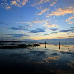 高美湿地（Gaomei Wetlands）