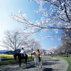 綾馬事公苑