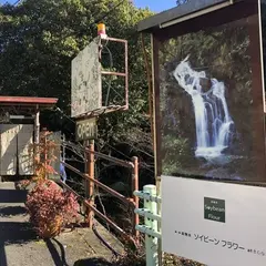 薬膳茶SoybeanFlour at きらら