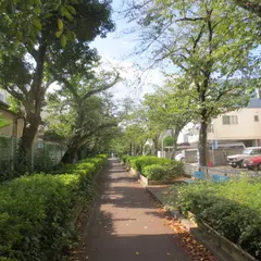 蛇崩川緑道