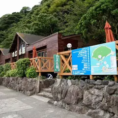 カエル館
