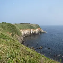 ウミウ展望台