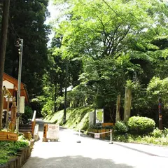 森の空中あそび パカブ
