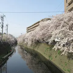 大岡川プロムナード
