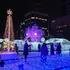 さっぽろホワイトイルミネーション