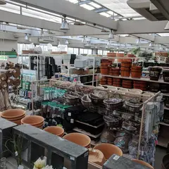 オザキフラワーパーク