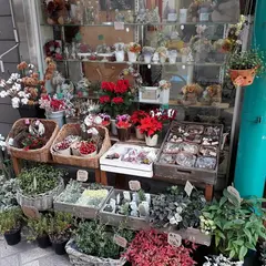霜降銀座商店街