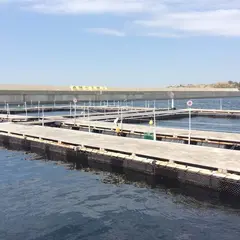みうら海王