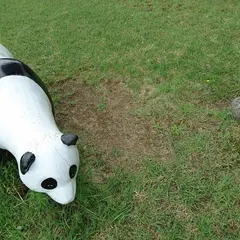 川口運動公園 多目的芝生広場