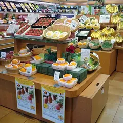 ぶどうの木