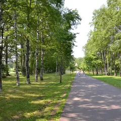 緑ヶ丘公園