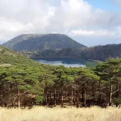 えびの高原池めぐりの森