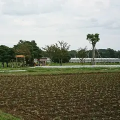 カズサ ガーデンファーム