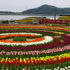 サンテパルクたはら